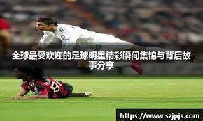 tool-category-overview